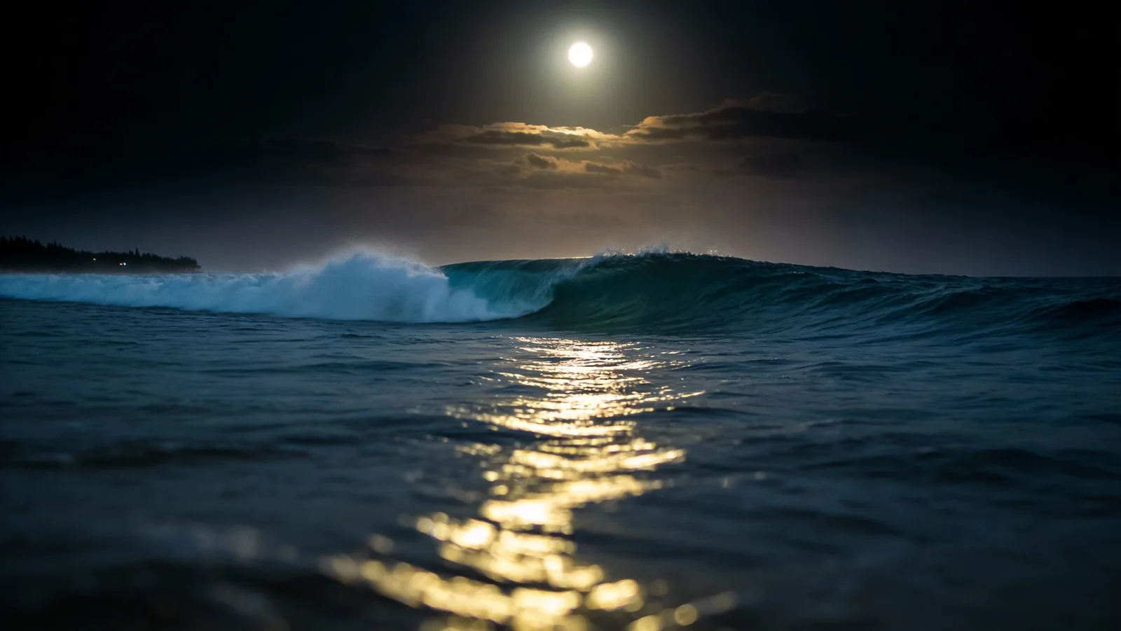 Starlit ocean